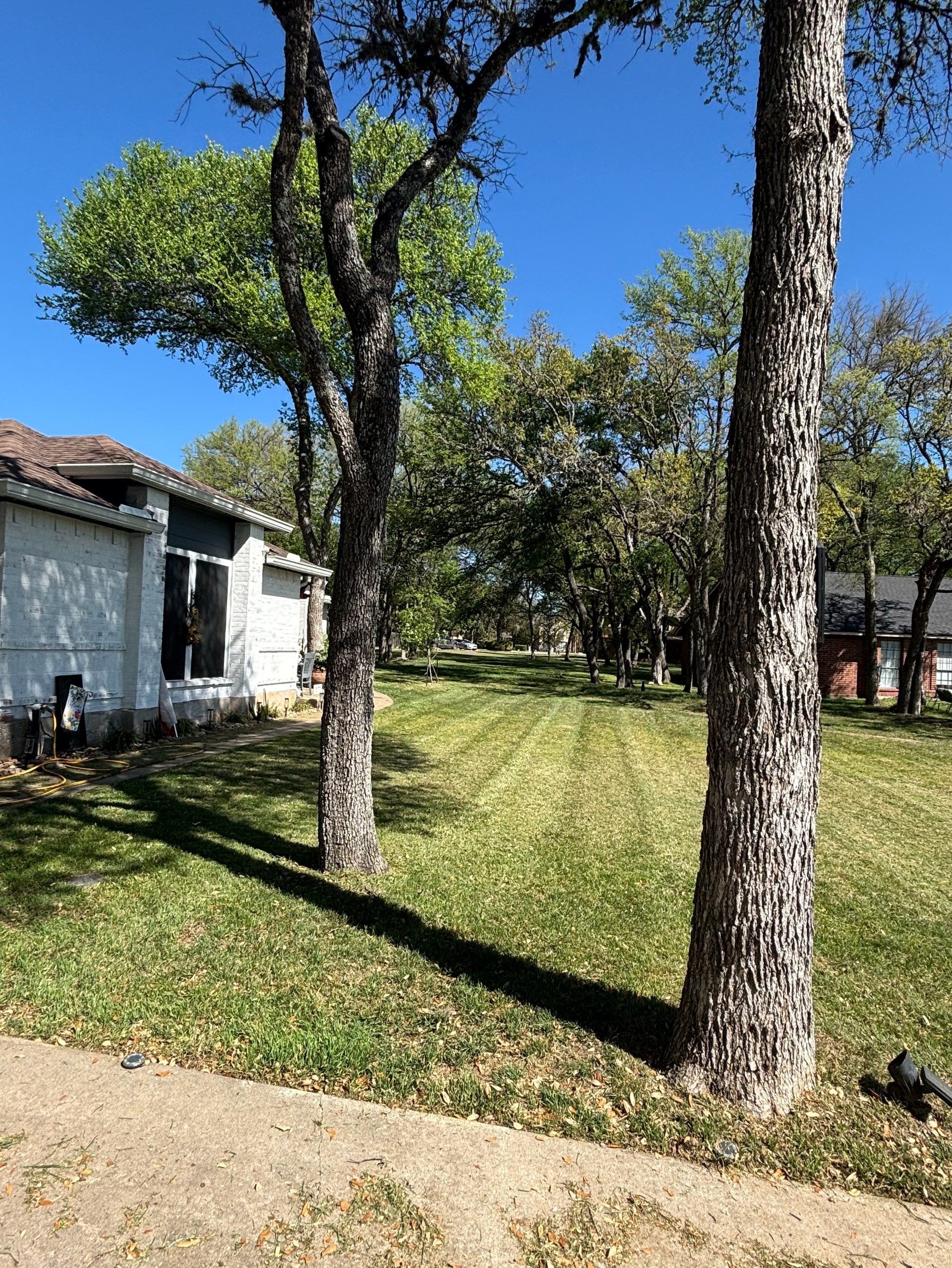 AP Lawn Care beautiful residential property maintenance