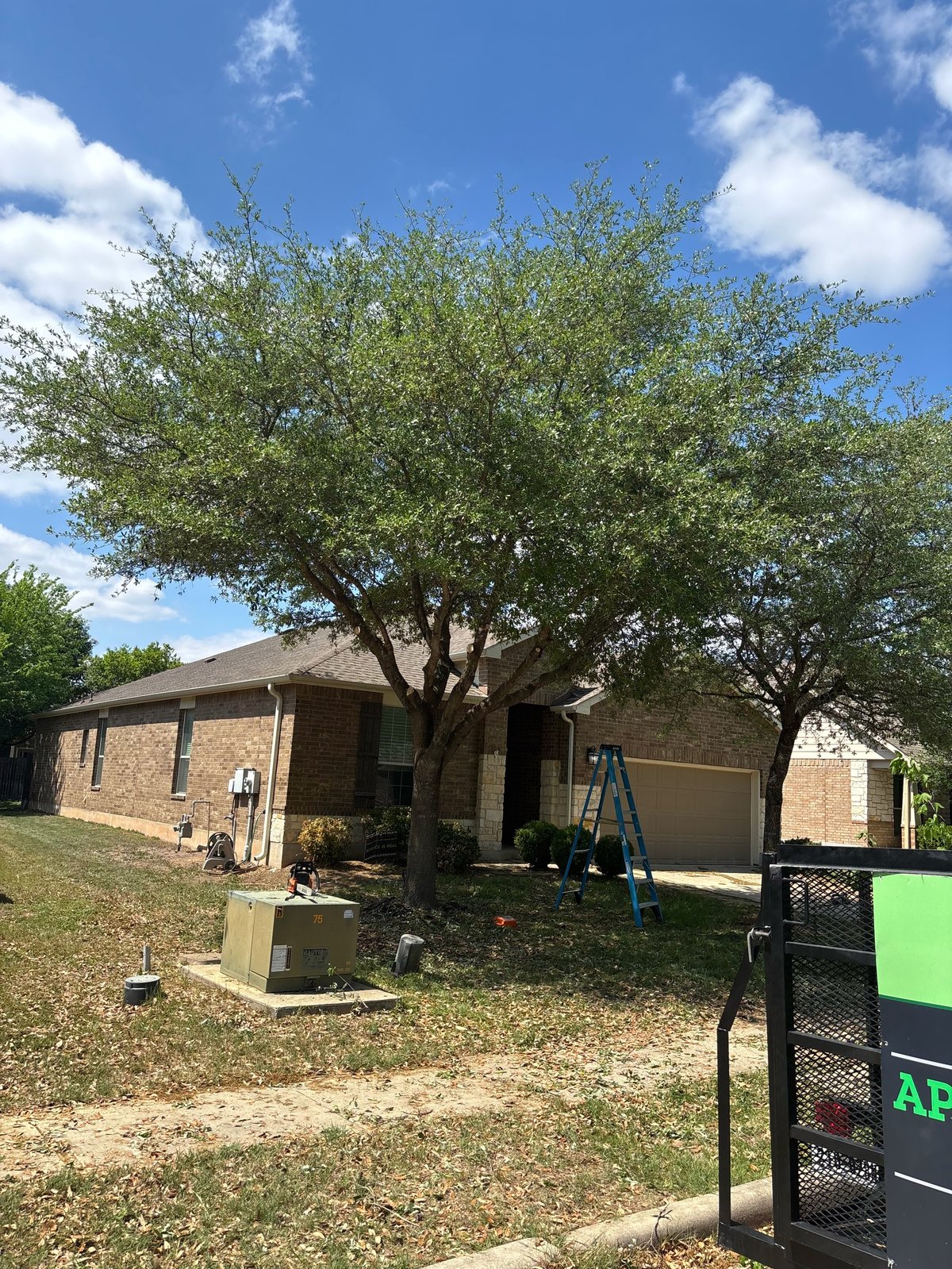 Single-story brick house with a large tree in the front yard under a blue sky with clouds
